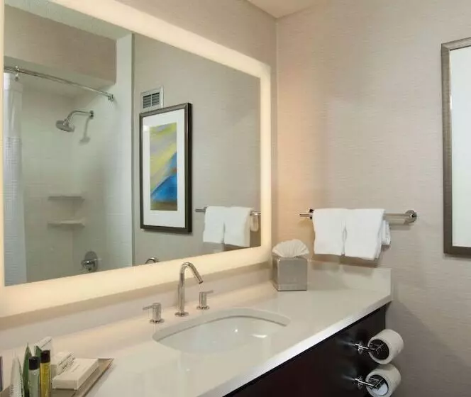 اتاق اجرایی با تخت بزرگ, Hilton Albany