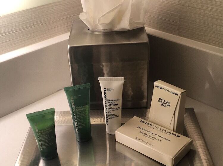 스위트 킹사이즈 침대, Hilton Albany