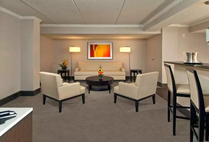سوئیت با تخت بزرگ, Hilton Albany
