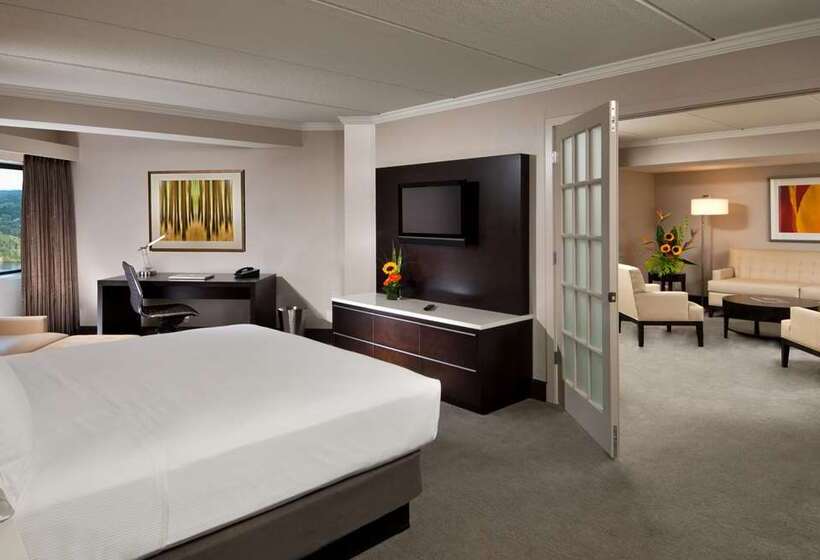 스위트 킹사이즈 침대, Hilton Albany