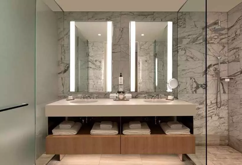 سوئیت با تخت بزرگ, Hilton Albany