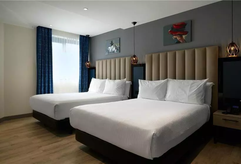 ２ダブルベッドのスタンダードルーム, Hilton Albany