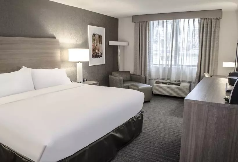 اتاق استاندارد با تخت دوبل, Holiday Inn Fargo, An Ihg