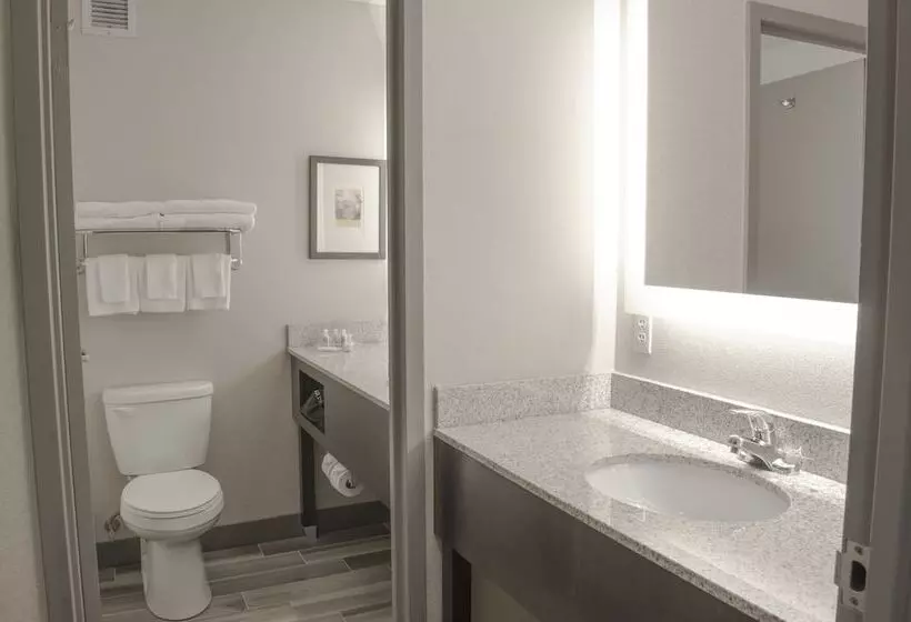 اتاق استاندارد, Holiday Inn Fargo, An Ihg