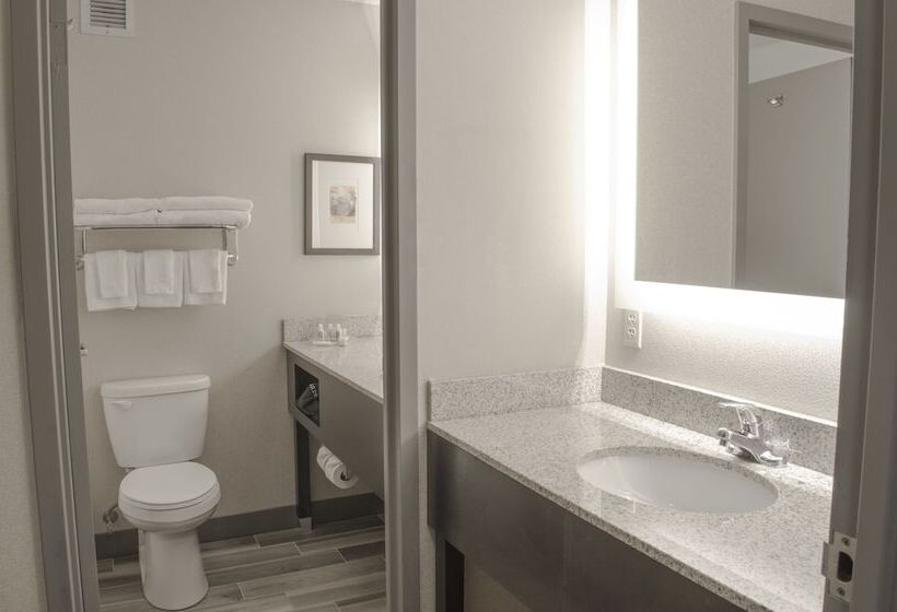 带2个双人床的标准工作室, Holiday Inn Fargo, An Ihg