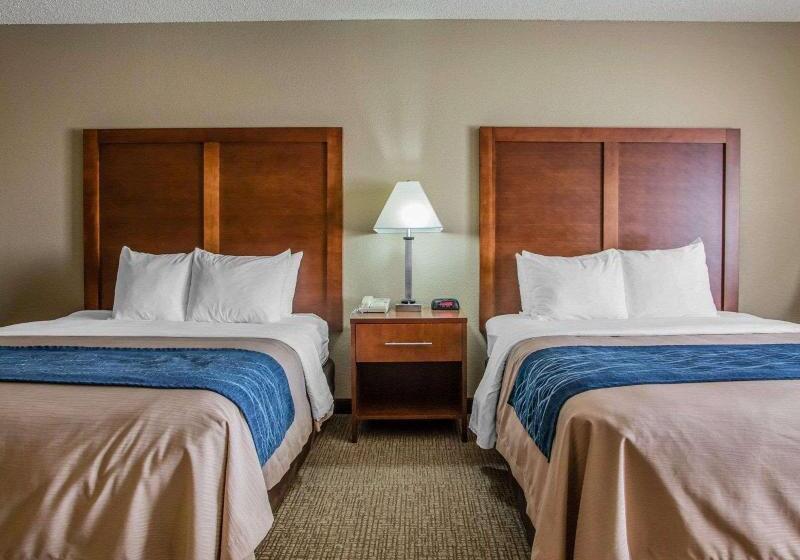 2ベッドスイートルーム, Homewood Suites By Hilton Dallas Dfw Airport N Grapevine