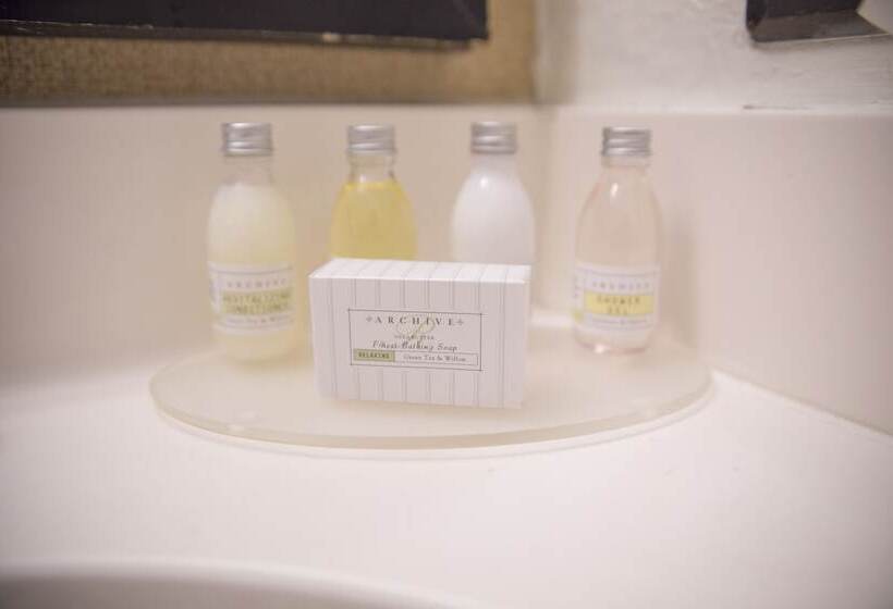 带2个双人床的标准工作室, Hudson River