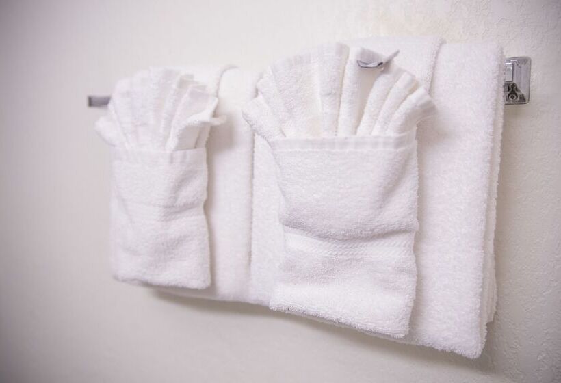 带2个双人床的标准工作室, Hudson River