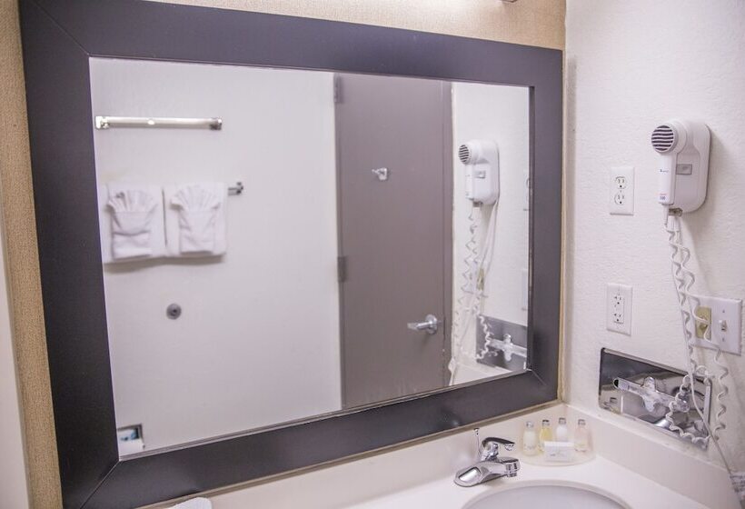 带2个双人床的标准工作室, Hudson River