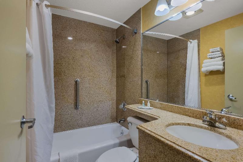 غرفة قياسية سرير كينج, Quality Inn Jfk Airport Rockaway Blvd