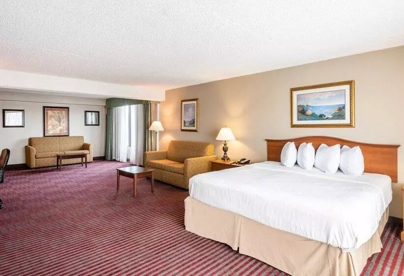 اتاق استاندارد با 2 تخت دوبل, Lakeland