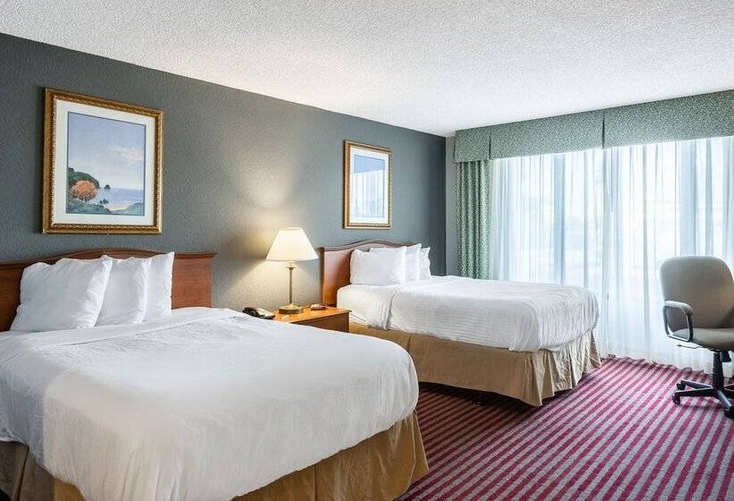 Номер Стандарт 2 Двуспальные Кровати, Lakeland