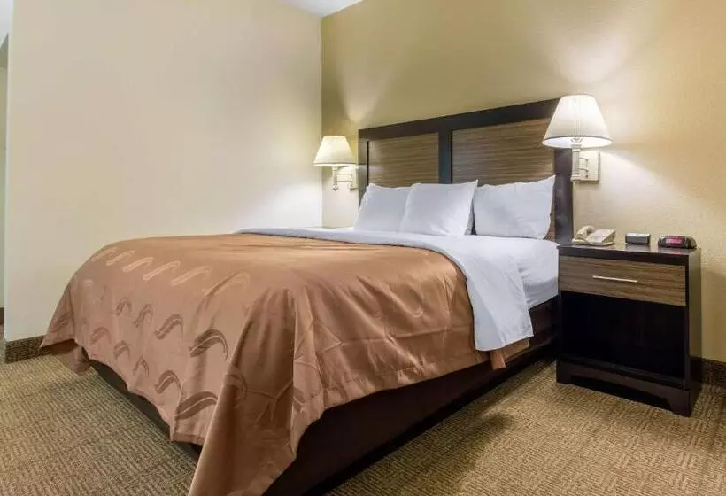 キングサイズベッドのスタンダードルーム, Quality Inn Surfside Myrtle Beach