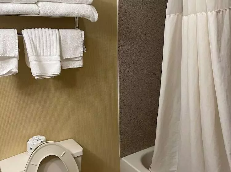 ２ダブルベッドのスタンダードルーム, Quality Inn Vineland
