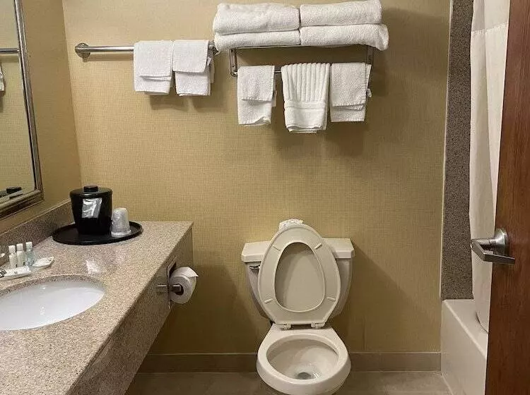 ２ダブルベッドのスタンダードルーム, Quality Inn Vineland