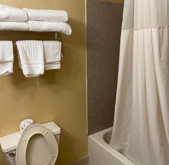 غرفة قياسية سرير كينج, Quality Inn Vineland