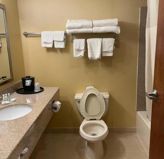 غرفة قياسية سرير كينج لذوى الإحتياجات الخاصة, Quality Inn Vineland