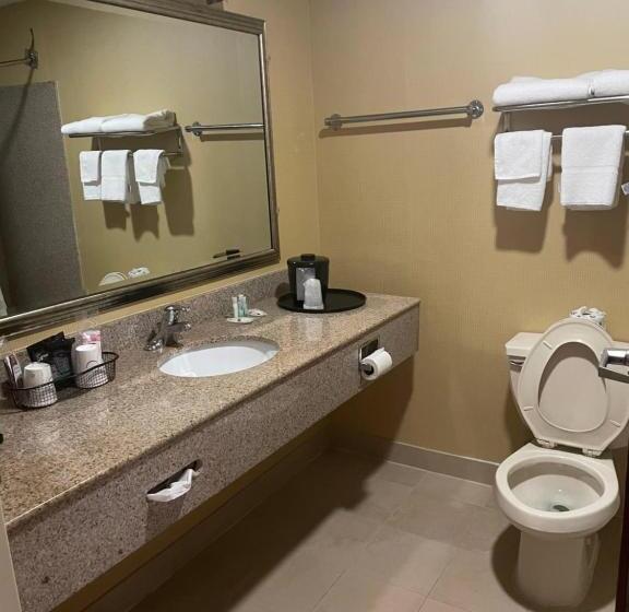 غرفة قياسية سرير كينج لذوى الإحتياجات الخاصة, Quality Inn Vineland