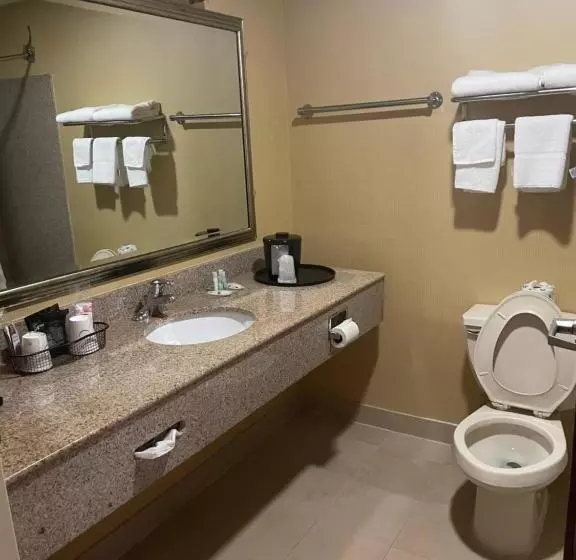 身障者適用キングサイズベッドルーム, Quality Inn Vineland