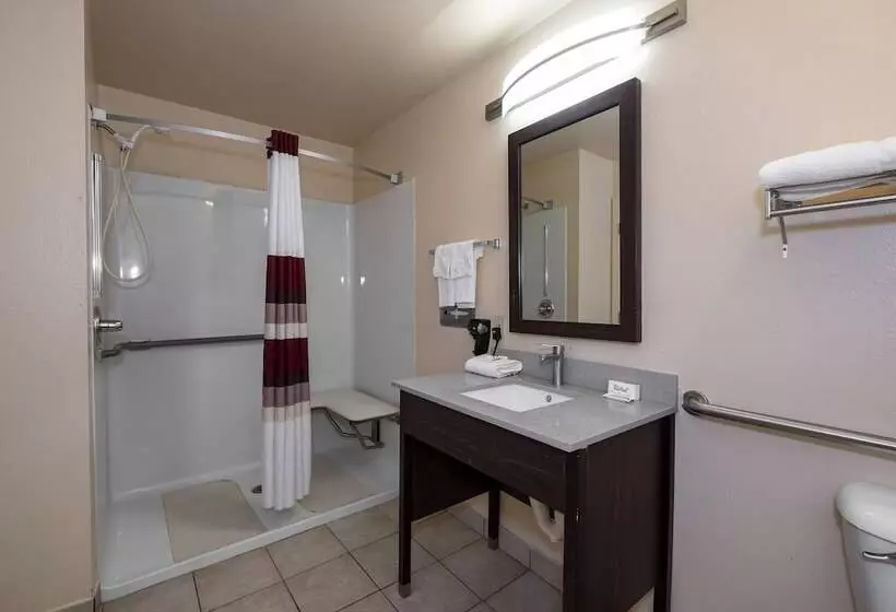 デラックスルーム, Red Roof Inn Valdosta  University