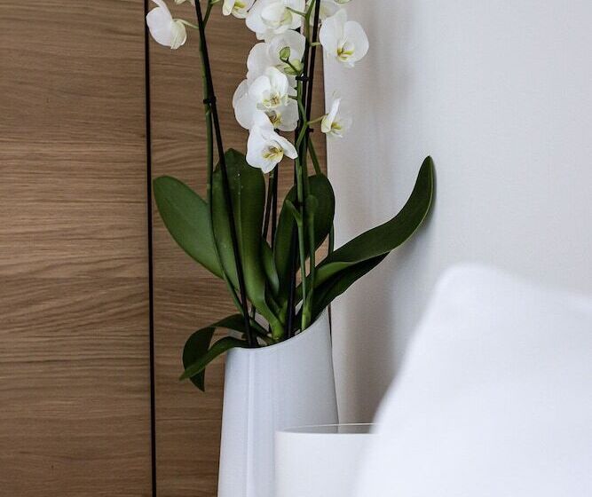 スーペリアールーム, Relais Et Châteaux Le Chambard