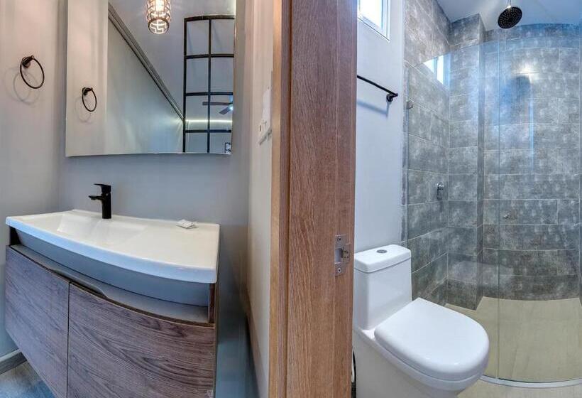 １ベッドルームペントハウスアパート, Ng