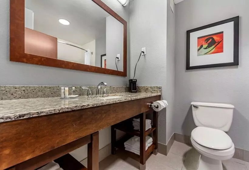 اتاق استاندارد با تخت دو نفره بزرگ برای معلولان, Comfort Inn Kearney I80
