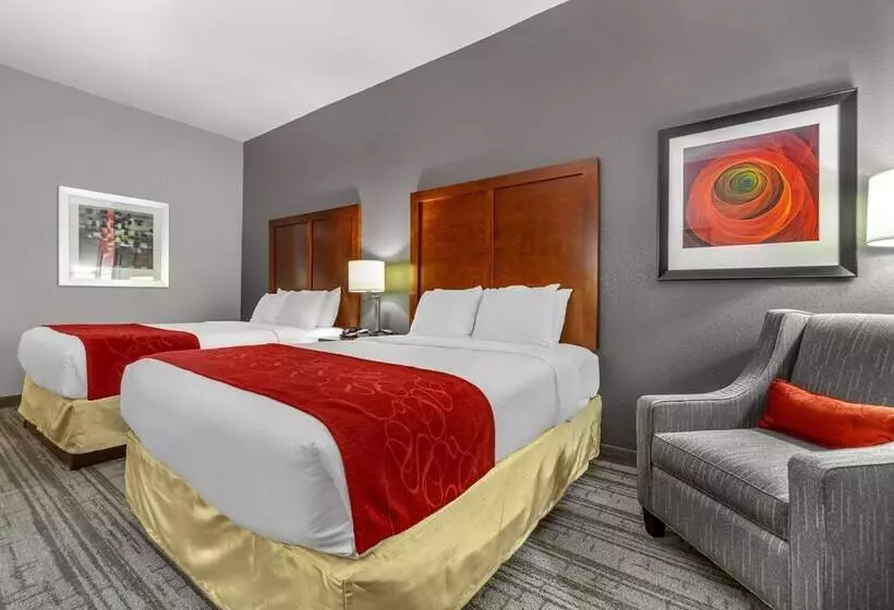 اتاق استاندارد با تخت دو نفره بزرگ برای معلولان, Comfort Inn Kearney I80