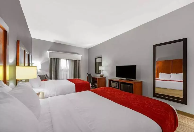 اتاق استاندارد با تخت دو نفره بزرگ برای معلولان, Comfort Inn Kearney I80