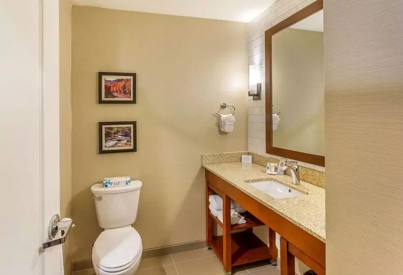 ２ダブルベッドのスタンダードルーム, Comfort Inn & Suites Logan Near University