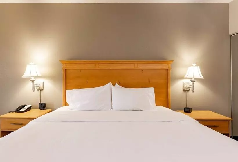 اتاق استاندارد, Hampton Inn & Suites Jacksonville Deerwood Park