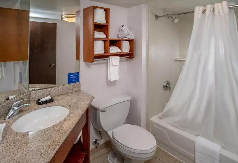 ２ダブルベッドのスタンダードルーム, Hampton Inn Charlestondowntown