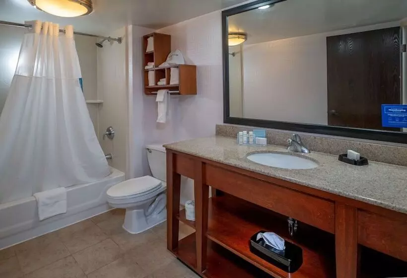 ２ダブルベッドのスタンダードルーム, Hampton Inn Charlestondowntown
