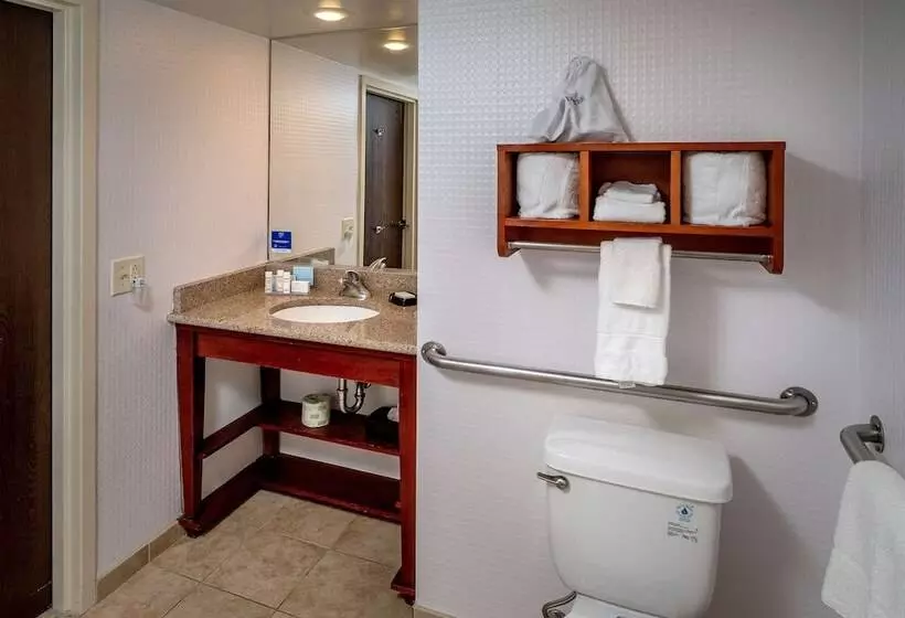 身障者適用スタンダードルーム, Hampton Inn Charlestondowntown