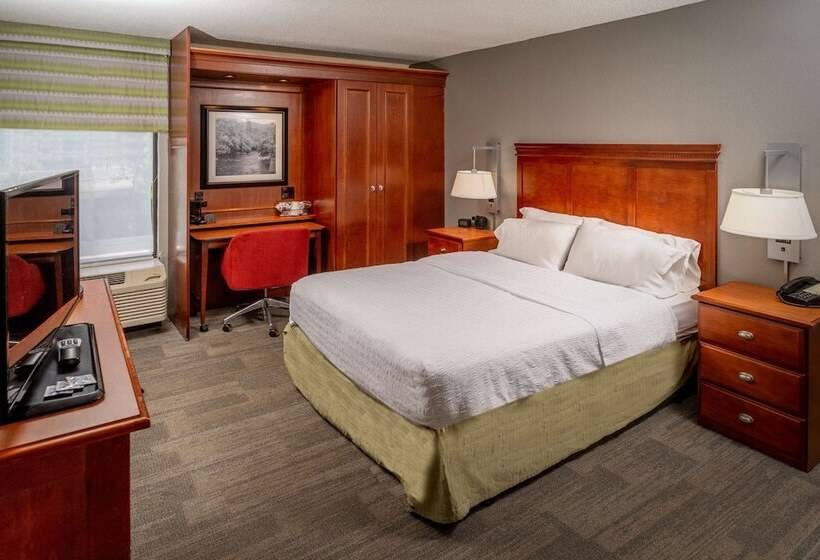 장애인을 위한 스탠다드 룸, Hampton Inn Charlestondowntown
