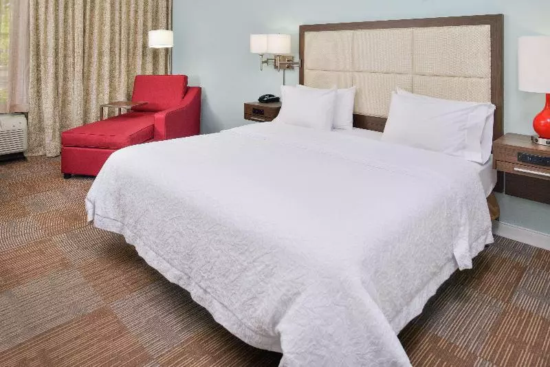 キングサイズベッドのスタンダードルーム, Hampton Inn Daytona/ormond Beach