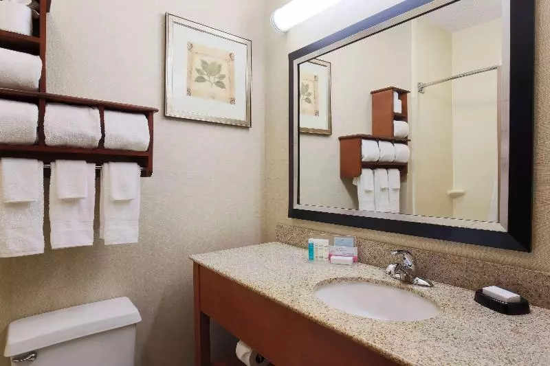 キングサイズベッドのスタンダードルーム, Surestay By Best Western Forsyth Decatur