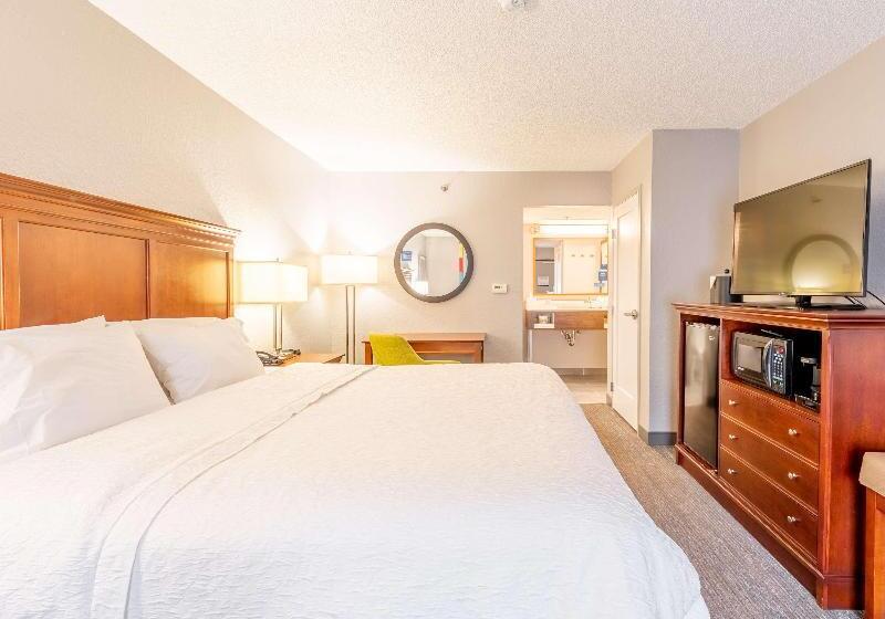 غرفة قياسية سرير كينج, Hampton Inn Gainesville