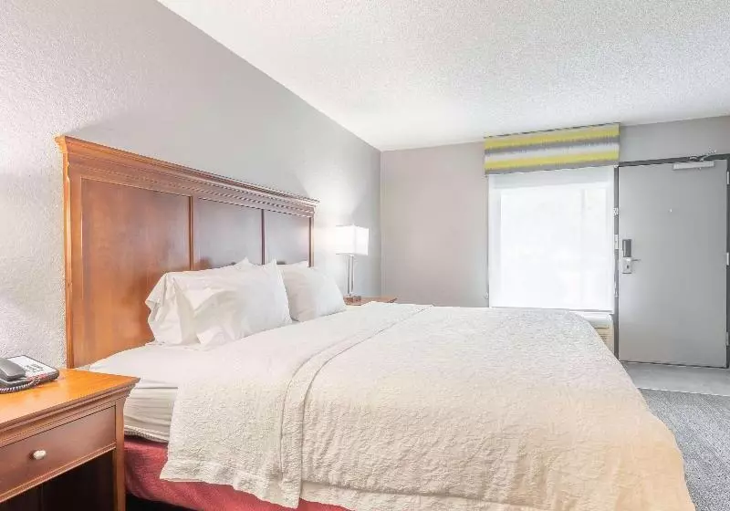 キングサイズベッドのスタンダードルーム, Hampton Inn Gainesville