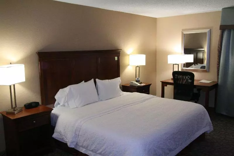 キングサイズベッドのスタンダードルーム, Hampton Inn Gainesville