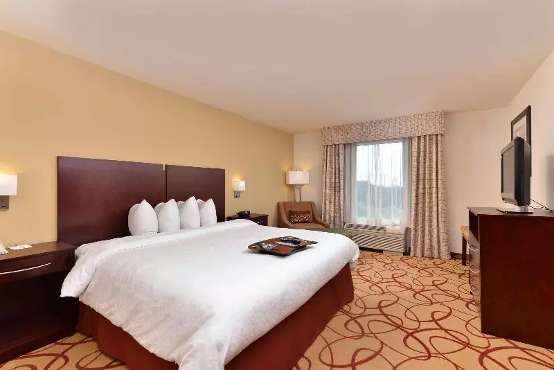 キングサイズベッドのスタンダードルーム, Hampton Inn Houston Deer Park Ship Area