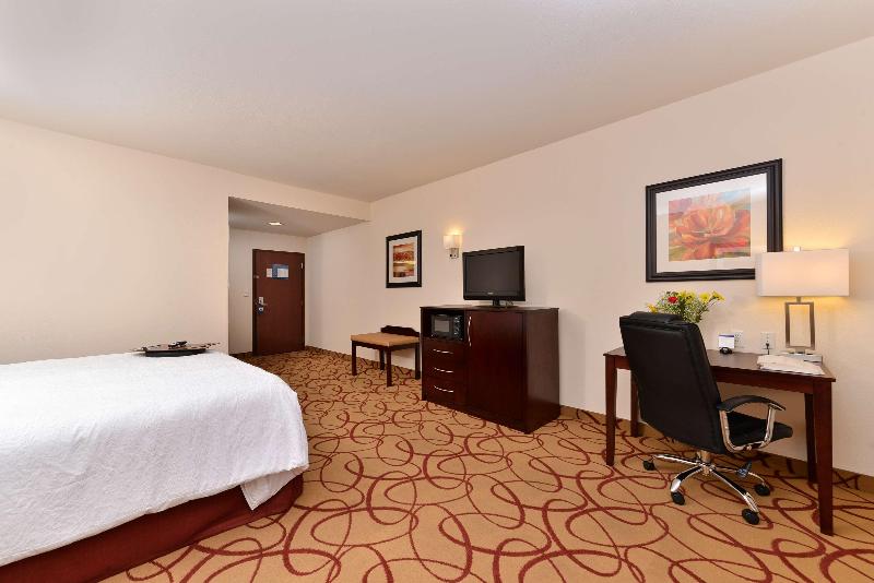 스탠다드 룸 킹사이즈 침대, Hampton Inn Houston Deer Park Ship Area