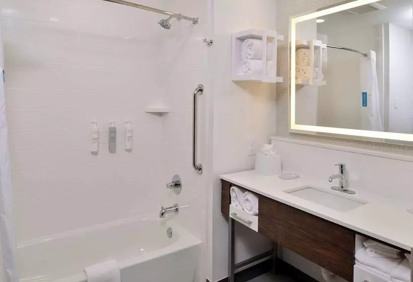 ２ダブルベッドのスタンダードルーム, Hampton Inn Laplace