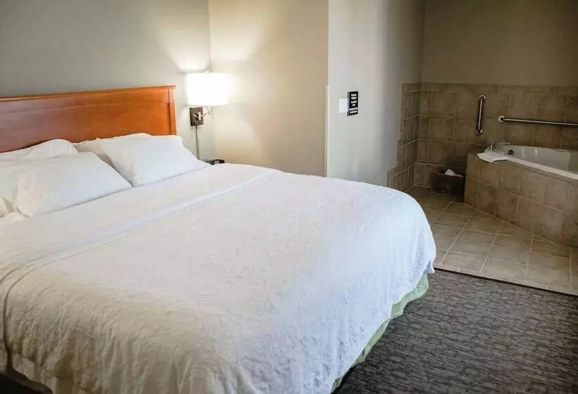 スタンダードルーム, Hampton Inn Mitchell