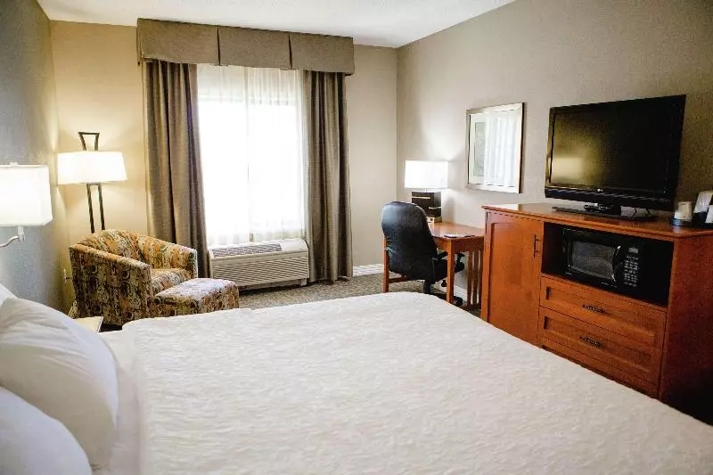 キングサイズベッドのスタンダードルーム, Hampton Inn Mitchell