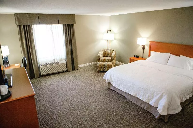 キングサイズベッドのスタンダードルーム, Hampton Inn Mitchell