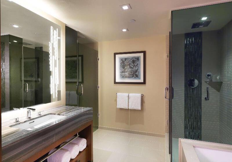 جناح سرير كينج, Hampton Inn Mitchell