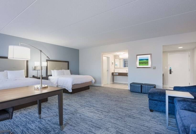 Студия Стандарт, Hampton Inn Mount Airy