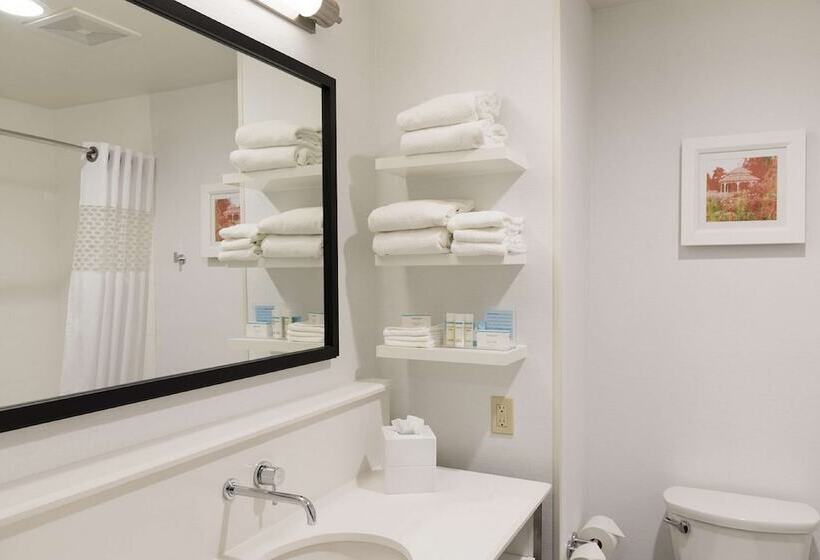 Номер Стандарт 2 Двуспальные Кровати, Hampton Inn Mt. Pleasant