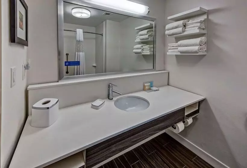 身障者適用スイートルーム, Hampton Inn Newberry Opera House